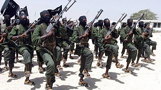 Somalia: 5 shebab killed in an American strike