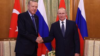 Erdoğan ve Putin