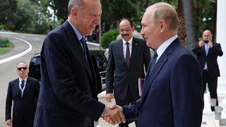Erdogan török elnököt Szocsiban fogadja Putyin orosz elnök 2022. augusztus 5-én