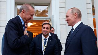 دیدار روسای جمهوری روسیه و ترکیه در تفرجگاه سوچی روسیه