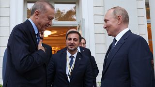 Cumhurbaşkanı Erdoğan, Soçi'de Rusya Devlet Başkanı Putin ile cuma günü bir araya gelmişti