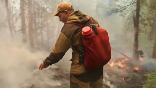 В ХМАО остаётся более 60 очагов лесных пожаров