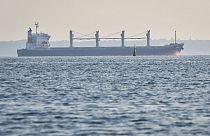 Ukrayna'nın Odessa Limanı'ndan tahıl ürünü alan bir gemi