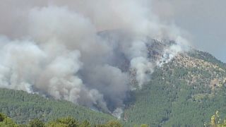 El foco del incendio se dirige a la localidad de Pedro Bernardo, España