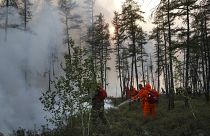 Tűzoltók és önkéntesek dolgoznak az erdőtűz helyszínén 2021. augusztus 10., kedd