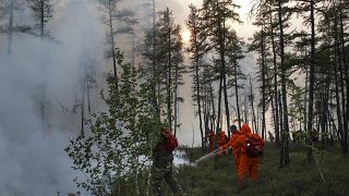 Tűzoltók és önkéntesek dolgoznak az erdőtűz helyszínén 2021. augusztus 10., kedd