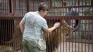Natalia Popova pets a lion at her animal shelter in Kyiv region. 