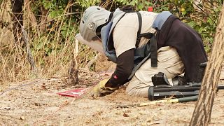 شاهد: جهود حثيثة لإزالة الألغام  المزروعة خلال الحرب الأهلية شرق أنغولا