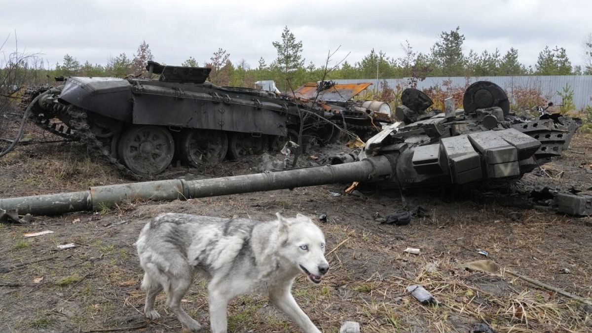 Танк российской армии, уничтоженный в районе Дмитровки под Киевом