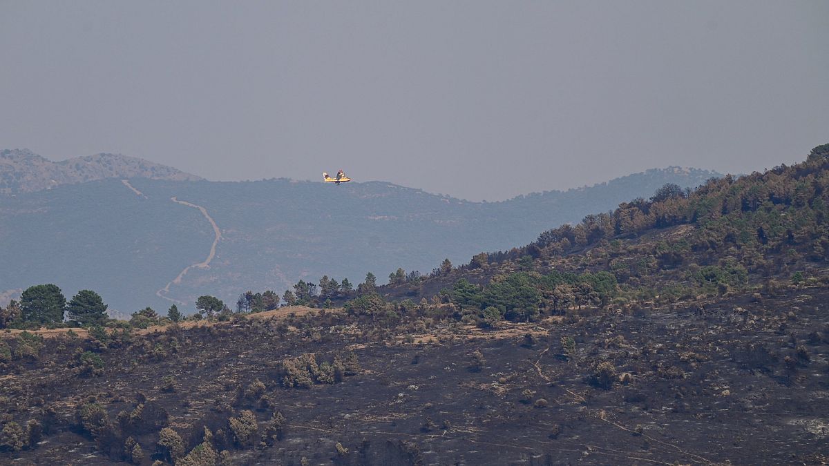 Hier ist nichts mehr zu retten: Ein Löschflugzeug über einer verbrannten Fläche.