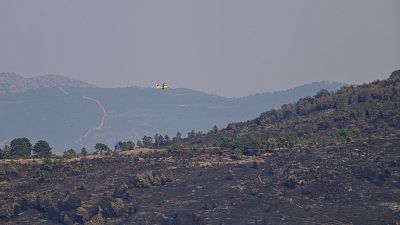Erdőtűz Spanyolországban, Avila tartományban