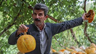 المزارع الكردي العراقي آزاد محمد، المعروف بالمزارع النموذجي في حلبجة، يعرض المنتجات العضوية الطازجة في مزرعته بالقرب من بلدة حلبجة الكردية العراقية، في 6 يوليو 2022.