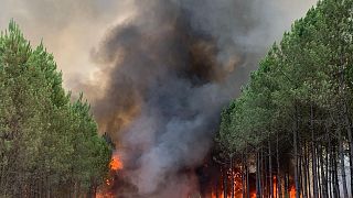 Incendie de forêt à Saint Magne, au sud de Bordeaux, dans le sud-ouest de la France, mercredi 10 août
