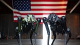 Robot dogs were tested to patrol the Cape Canaveral station of the US Space Force.