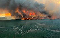 Esta foto proporcionada por el cuerpo de bomberos de la región de Gironda muestra las llamas consumen los árboles en un incendio forestal, el 10 de agosto de 2022.