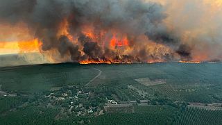 An der französischen Atlantikküste breiten sich wiederaufgeflammte Waldbrände schnell aus.