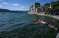 A swimmer dives into the water in the Bosphorus strait in Istanbul's Bebek district