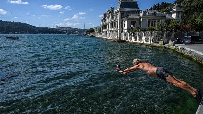 A swimmer dives into the water in the Bosphorus strait in Istanbul's Bebek district