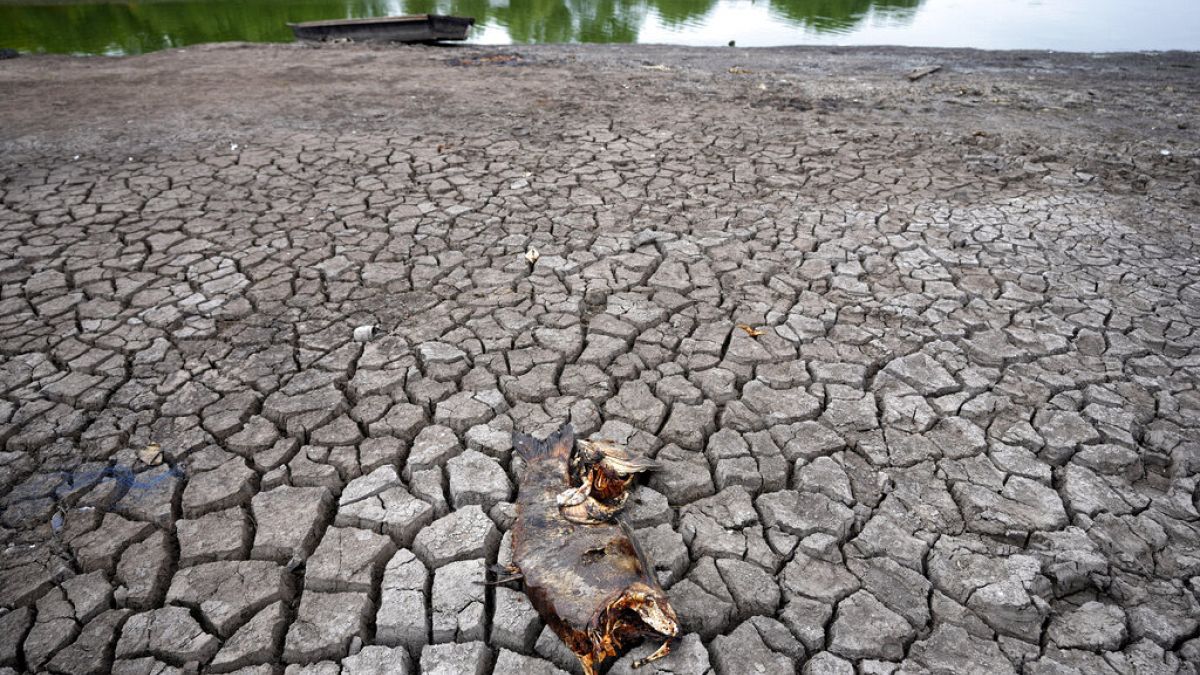 خشکسالی در اروپا