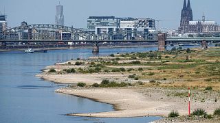 he river Rhine is pictured with low water in Cologne, Germany, Wednesday, Aug. 10, 2022.