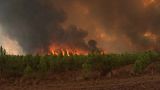 Le fiamme, considerate sotto controllo fino a martedì, hanno ripreso vigore forse a causa di un atto doloso, complici la siccità e le alte temperature