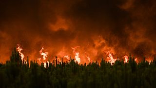 Forêt en flammes dans le secteur de Belin-Beliet, en Gironde dans le sud-ouest de la France, le 10 août 2022