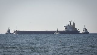 Az Ocean Lion nevű hajó nem sokkal azután, hogy elindult Odesszából
