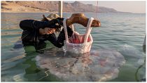 L'artiste israélienne Sigalit Landau s'avance dans la mer Morte pour inspecter ses dernières créations.