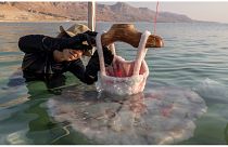 L'artiste israélienne Sigalit Landau s'avance dans la mer Morte pour inspecter ses dernières créations.