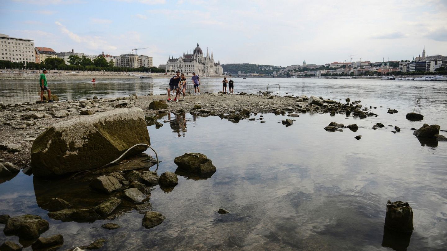 In pictures: Europe's mighty rivers are drying up in the climate-driven  drought | Euronews