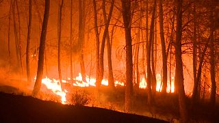 A wildfire rages in the Serra da Estrela natural park