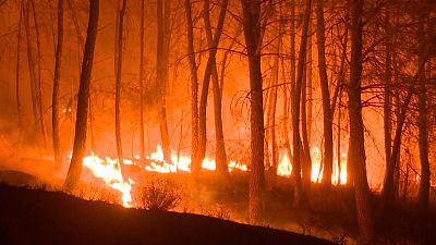 A wildfire rages in the Serra da Estrela natural park
