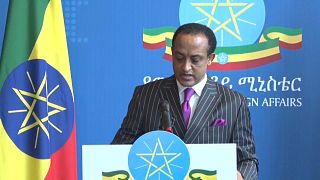 Ethiopia announces that second turbine in GERD is in operation