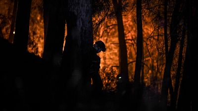 Bombeiro combate as chamas em Manteigas, no Parque Natural da Serra da Estrela
