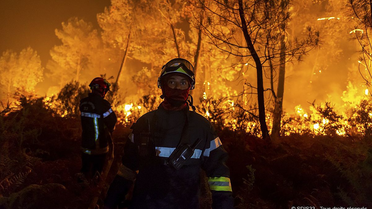 Fransa'da orman yangınları