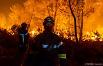 Пожарные борются с пламенем в департаменте Жиронда, Франция
