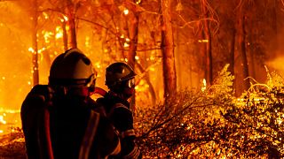 French and EU firefighters are tackling a wildfire near Saint-Magne, south of Bordeaux.