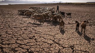 Morocco: Inflation and drought proving a major headache
