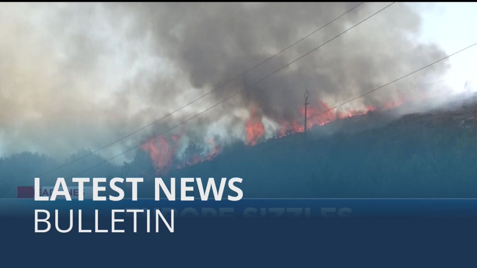 Latest news bulletin | August 12th – Midday