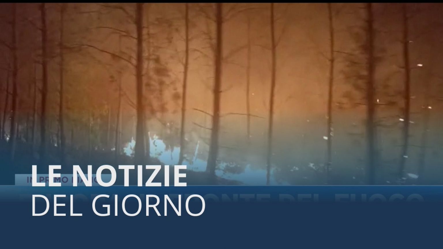 Le notizie del giorno | 12 agosto - Pomeridiane