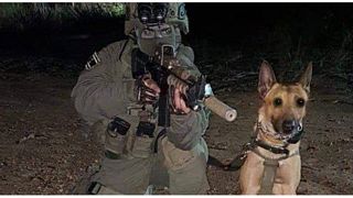 الكلب "زيلي" إلى جانب ضابط إسرائيلي 