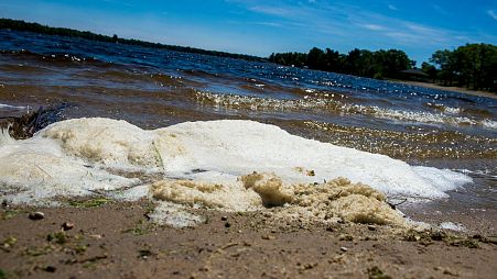  In this June 6, 2018, file photo, PFAS foam washes up on the shoreline of Van Etten Lake in Oscoda Township, Michigan, US.