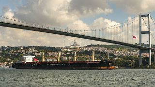 The cargo ship Rojen arrives in Istanbul, Sunday, Aug. 7, 2022. Turkey says two more ships have left Ukraine's Black Sea ports with wheat and corn under a UN-brokered deal.