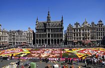 le "Tapis de fleurs" sur la Grand-place de Bruxelles, le 12/08/2022