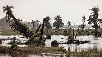 Gambia: Eleven dead in worst floods in 50 years - report