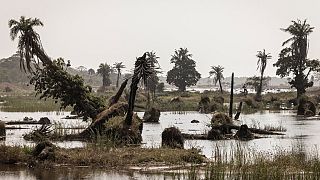 Gambie : au moins 11 morts dans les pires inondations depuis 50 ans