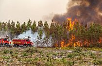 Feuerwehrleute kämpfen mit den Flammen in der Nähe von Saint-Magne, im Süden von Bordeaux, 11.08.2022
