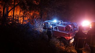 Пожарные борются с огнём в лесах Жиронды 11 августа 2022