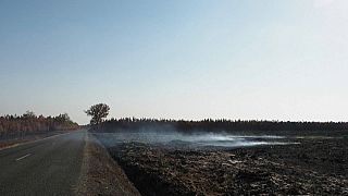 Le fiamme hanno bruciato un'area di oltre 7mila ettari nei dipartimenti di Gironda e Landes