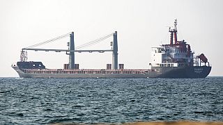 Frachter Fulmar S mit 12.000 Tonnen Mais an Bord